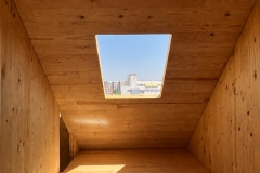 altermateria-Pando19-clt-madera