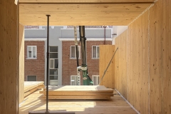 altermateria-Pando2-clt-madera